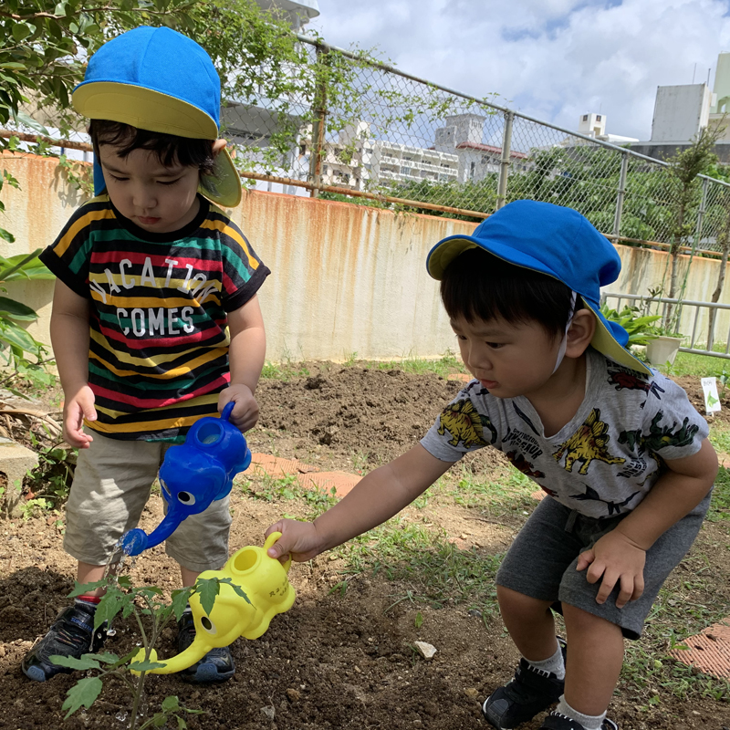 テストこども園の様子